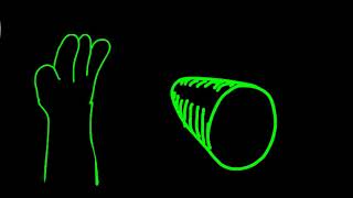 Spatial Dynamics Cartoon