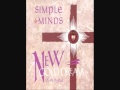 Simple minds somebody up there likes you