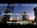 Brand-NewDay - 当山ひとみ