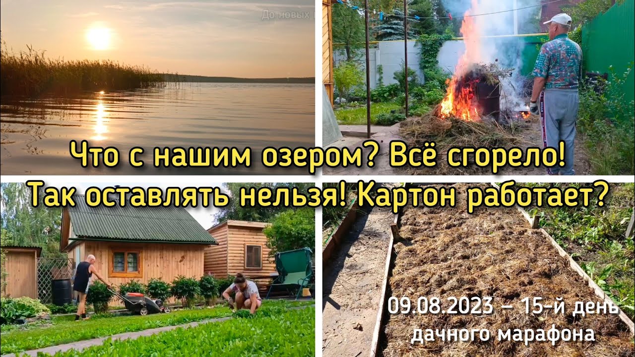 Вырвались на улицу после проливного дождя. Косим, мульчируем, сжигаем ...
