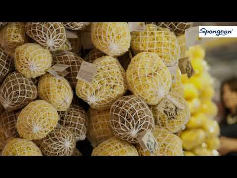 ✔ Where to Buy Natural Sea Sponges Bulk & Wholesale | Spongean ★★★★★