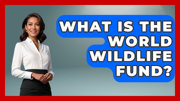 What Is The World Wildlife Fund? - Ecosystem Essentials