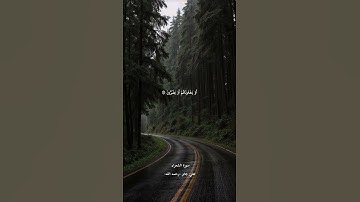 #القرآن_الكريم #فلسطين #سورة_الشعراء #علي_جابر