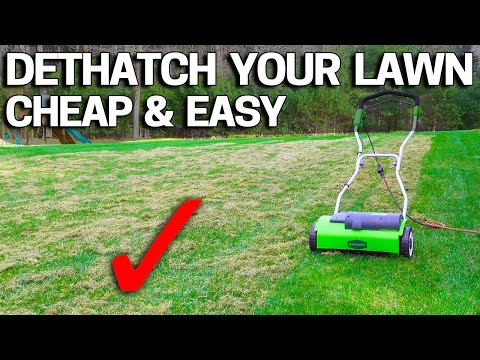 How to DETHATCH an UGLY LAWN - CHEAP