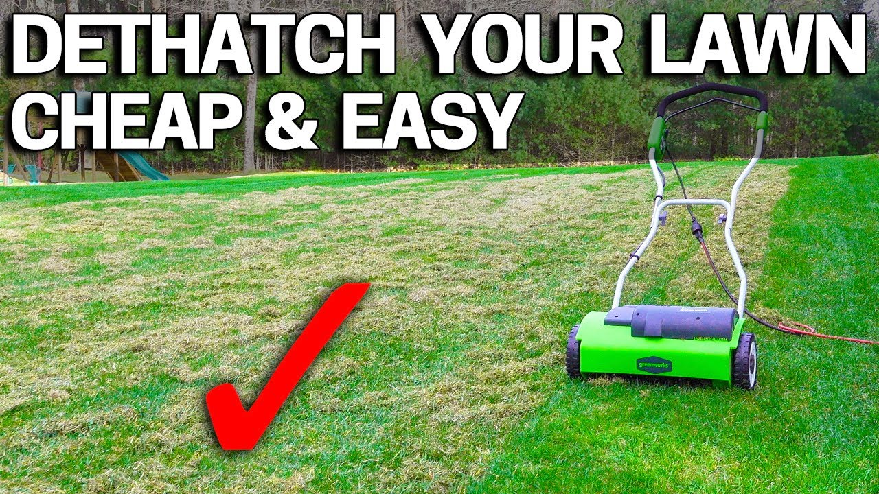 How To Dethatch An Ugly Lawn Cheap Youtube