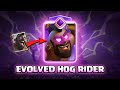 Evolved hog rider  clash royale
