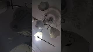 Ben Bu Kadar Iyi Poz Veremiom Aqq