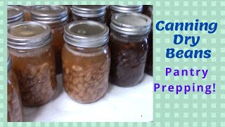 Canning Dry Beans | Pantry Prepping!