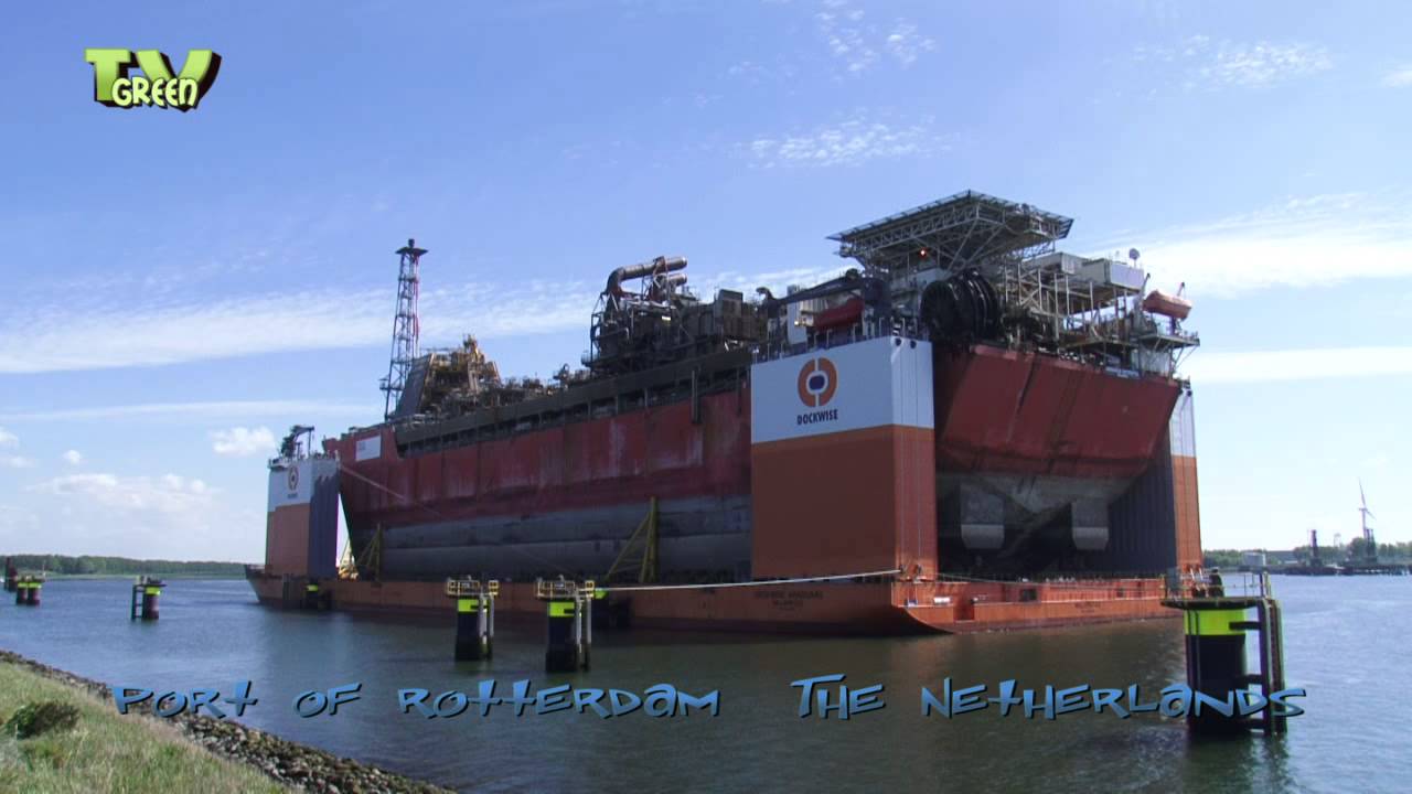 Dockwise Vanguard - Transport Armada Intrepid