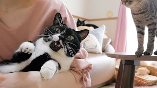 まだパパは帰ってきません...