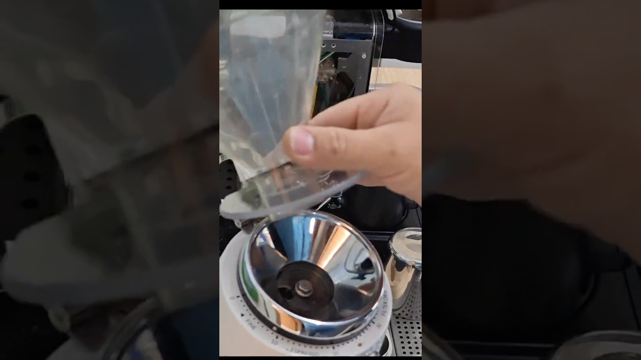 Niche grinder bean hopper (prototype)