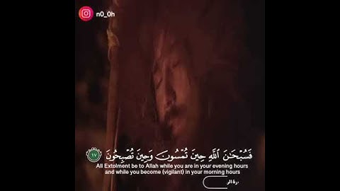 تلاوة خاشعة وآيات مباركة من سورة الروم📚/القارئ عبدالله الموسى../حالات واتس أب دينية..💞