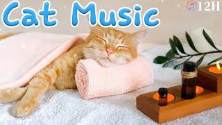 The cat soon calms down?Cats favorite music, sleep music for cats, stress relief music