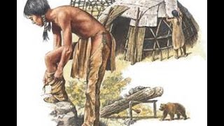 THE VAN ETTEN CREEK CHRONICLES: A STORY OF PREHISTORIC NORTHEAST MICHIGAN