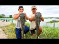 Bridge Fishing for GIANT Channel Catfish! (NEW PB)