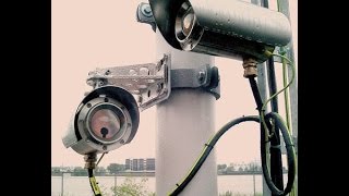 Operational Efficiencies and Cost Savings