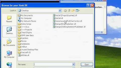 [Video Tutorial] How to use Infinity Injector.avi