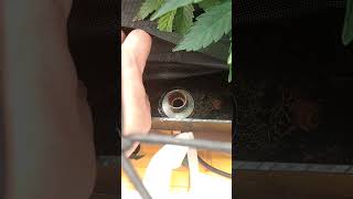 one big beautiful plant home made flood and drain system and a few #tips  on how to make one #cheap