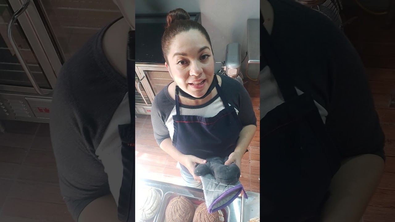 CONCHAS #4 HORNEADAS