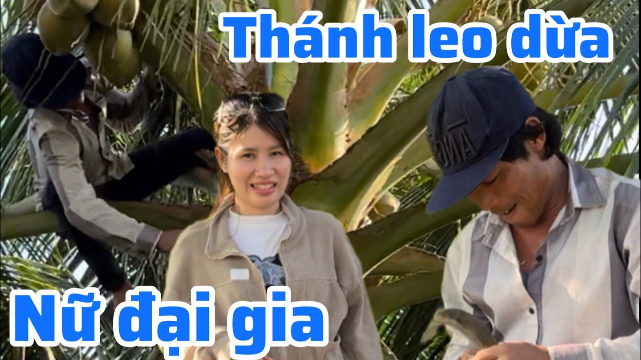 Nữ đại gia tìm thánh leo dừa làm điều này mọi người sững sốt 