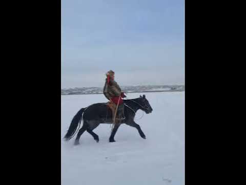Хийморь ️ - YouTube