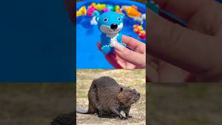 Fun Learning Animal Names with Plastic Toys!! #kidslearning