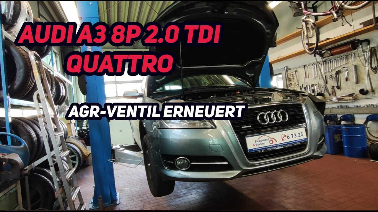 Es Lächerlich Kaugummi audi a3 2.0 tdi agr ventil ausbauen Schmelze Bild  Fausthandschuh