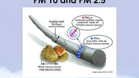What is Particulate Matter