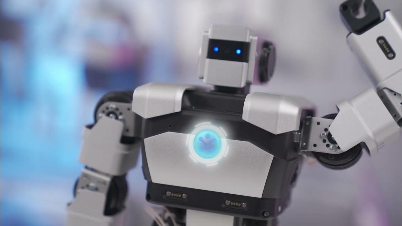 Human AI Interaction