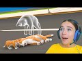 ГРУСТНАЯ ЖИЗНЬ КОШКИ в Cat Life Simulator