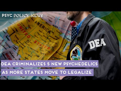 Psychedelic Decriminalization Update : Colorado, Oklahoma & Maine Move To Legalize Psychedelics?