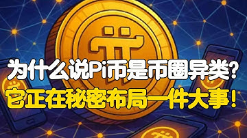 Pi Network：为什么说Pi币是币圈异类？它正在秘密布局一件大事！