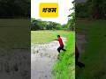 আসলাম ভাই পানিতে ডুবে মারা গেছে 😂#comedy #funny #viral #prank #reels #entertainment #tiktok #shorts