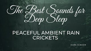 Peaceful Ambient Rain | Crickets #asmr #cricket #rain