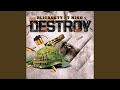 Destroy feat niko