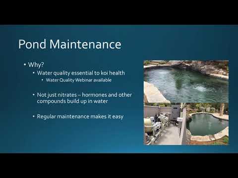 Video: Koi-Keeping Essentials: uw quarantainebad