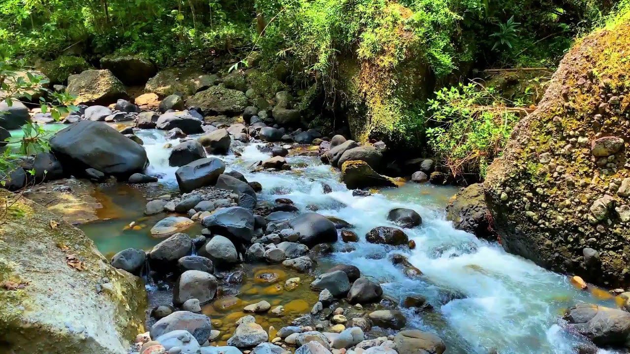 ☀️ Summer River Breeze | Warm Water Sounds | Peaceful Flow | Hot Day Cooling Relaxation