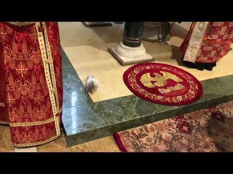 მეუფე ნიკოლოზი - თეთრი მტრედი საკურთხეველში