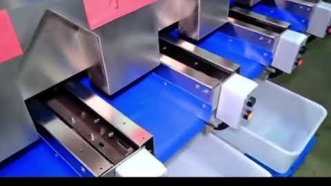 VSEE blueberries sorting machine