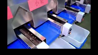 VSEE blueberries sorting machine