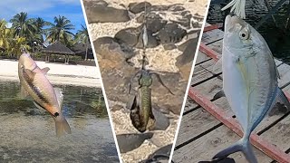 Ep 9 Winter Shore Fishing for Squid and other species Fishing in Mauritius