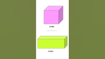 3D shapes | 3D shapes with pictures | Learn & Nurture #shortsvideo #maths #3dshapes  #color