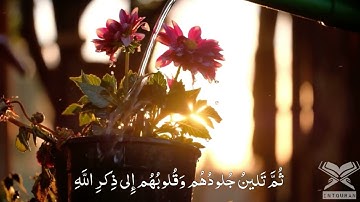 الله نزل احسن الحديث | روائع التلاوات | الحصري