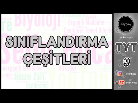 20) Sınıflandırma Çeşitleri (Sistematik)