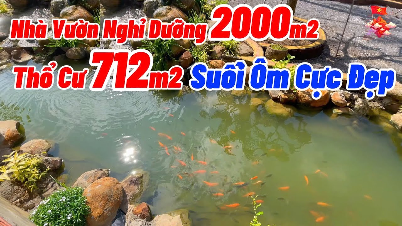 Nhà Vườn Nghỉ Dưỡng Quá Đẹp Nhưng Chưa Tìm Được Chủ Mới | NHÀ ĐẤT ĐỒNG NAI GIÁ RẺ