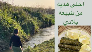 أحلى هدية من طبيعة بلادي