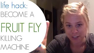 Life hack series! become a fruit fly killing machine - how to guide