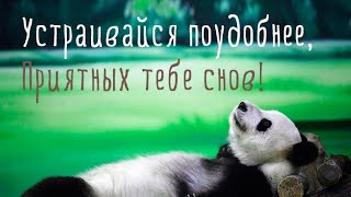 Пожелание спокойной ночи! Не забывай засыпать с мечтой, а просыпаться с целью!