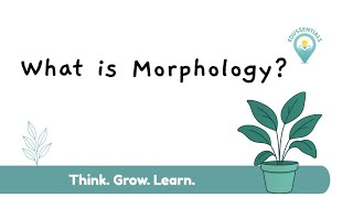 Master Morphology in 5 Minutes | A-Level English Language Revision 
