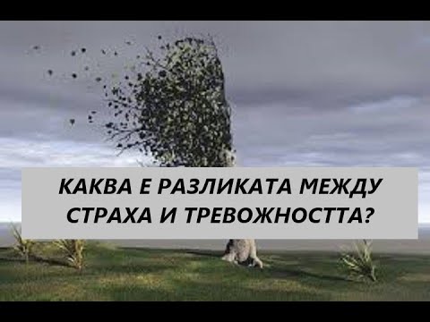 Видео: Каква е разликата между всичко и всичко?